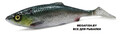 Savage-Gear-LB-4D-Herring-Shad-110-Green-Silver