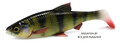 Savage-Gear-LB-4D-River-Roach