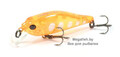 Pontoon21-Cheerful-40SP-SR-R46