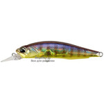 Realis-Rozante