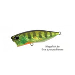Realis-Popper