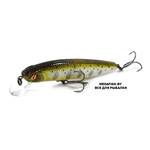 Dexter-Minnow