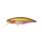 GREAT-HUNTING-MINNOW