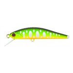 Grace-Minnow-Elena