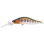 Realis-Rozante-Shad