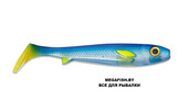 Flatnose-Shad