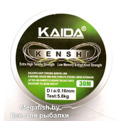 KENSHI
