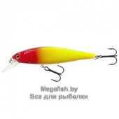 MINNOW-X