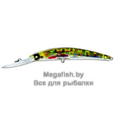 Crystal-3D-Minnow-Deep-Diver