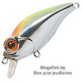 Bug-Eye-Bait