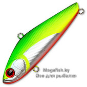 ZBL-Vib-58-10G