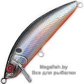 SS-Minnow