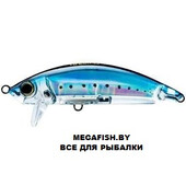 3D-Inshore-Surface-Minnow