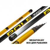 Tournament-Pole