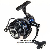 Elite-SPINETIX-8