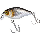 Chubby-41SR-F