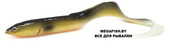 LB-Real-Eel-200