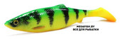 LB-4D-Herring-Shad-250