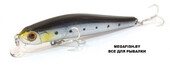 ZBL-System-Minnow-15HD