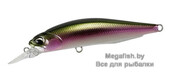 Realis-Rozante-77SP