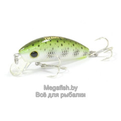 Yo-Zuri/Duel-L-Minnow-44S-MDM