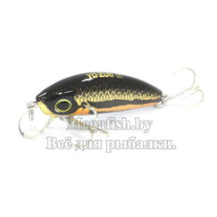 Yo-Zuri/Duel-L-Minnow-44S-M37