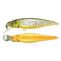 voblery-pontoon21-greedy-guts-88sp-sr-11,7gr-suspending-451
