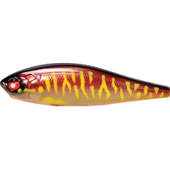 Lucky-John-Anira-39LBSP-113