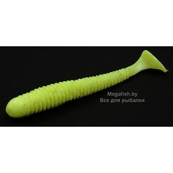 Vibro-Worm-2-6