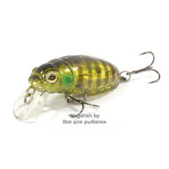 Beetle-Buster-40-655G