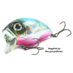 Kosadaka-Boxer-XS-45F-SH