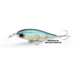 EverGreen-Bank-Shad-239
