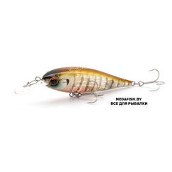 EverGreen-Bank-Shad-246