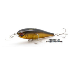 EverGreen-Bank-Shad-259