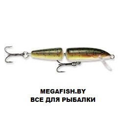 Rapala-Jointed-TR