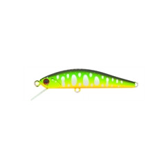 DUO-Grace-Minnow-Elena