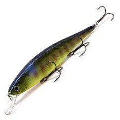 Lucky-Craft-Pointer-269