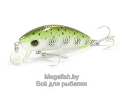 Yo-Zuri/Duel-L-Minnow-44S-MDM