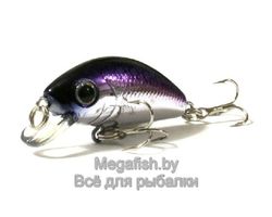 Yo-Zuri/Duel-L-Minnow-66S-M101