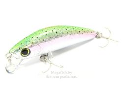 Yo-Zuri/Duel-L-Minnow-66S-M99