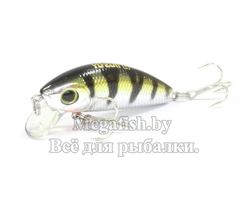 Yo-Zuri/Duel-L-Minnow-66S-YP