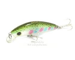 Yo-Zuri/Duel-L-Minnow-66S-NRT