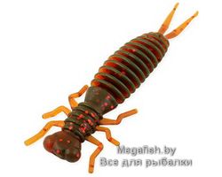 Tvister-Akara-Eatable-Insect-50-11