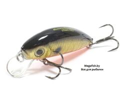 Strike-Pro-Mustang-Minnow-45-A70-613-SBO