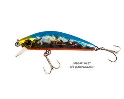 Yo-Zuri/Duel-L-Minnow-66S-HBSN