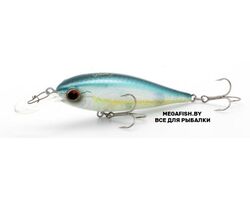 EverGreen-Bank-Shad-239