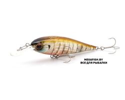 EverGreen-Bank-Shad-246