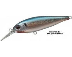 EverGreen-Bank-Shad-257