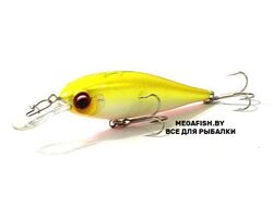 EverGreen-Bank-Shad-602