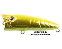 Zipbaits-ZBL-Popper-Tiny-713R